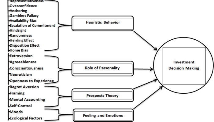 Investor biases behavioral