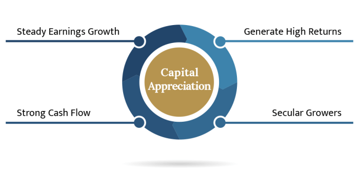 Capital appreciation strategy investments equity reasonable growth price